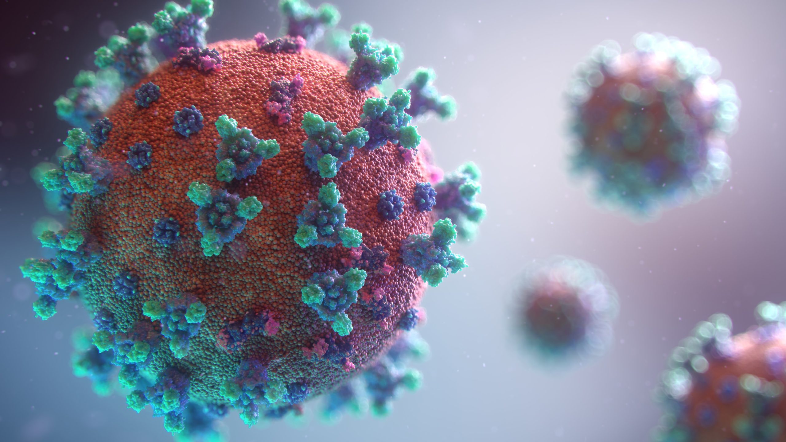 Coronavirus photo